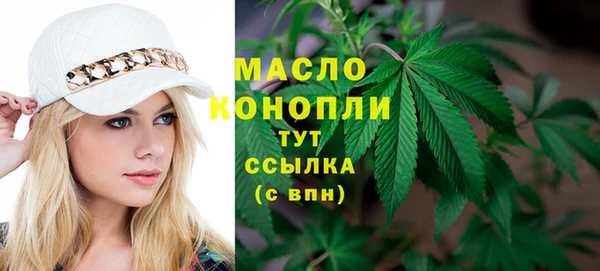 хмурый Новозыбков