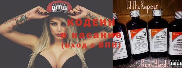 хмурый Новозыбков