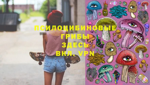 хмурый Новозыбков