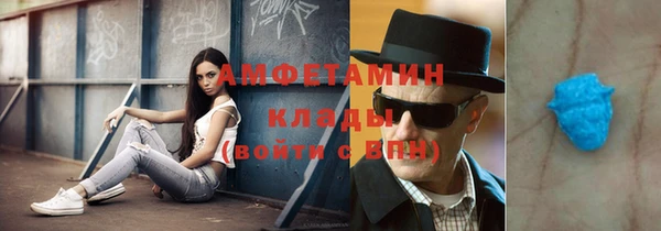 СК Новодвинск