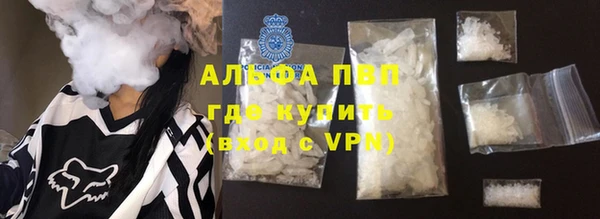 СК Новодвинск