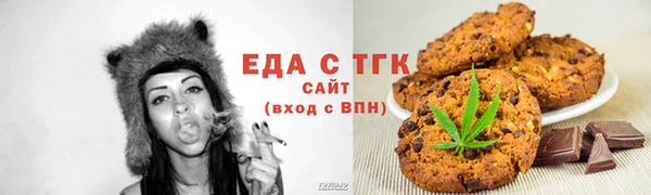 хмурый Новозыбков