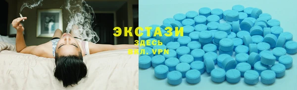 СК Новодвинск