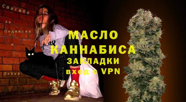хмурый Новозыбков