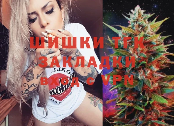 хмурый Новозыбков