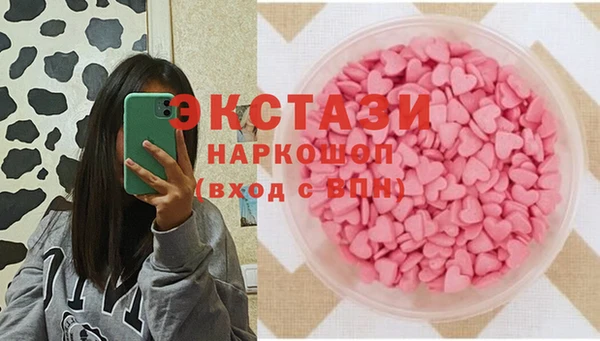 СК Новодвинск