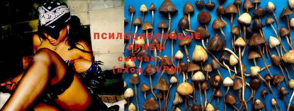 хмурый Новозыбков